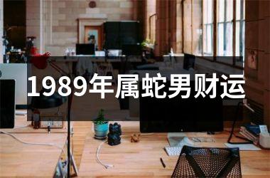 1989年属蛇男财运