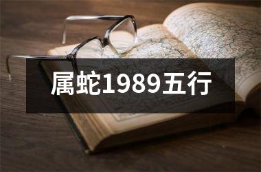 属蛇1989五行