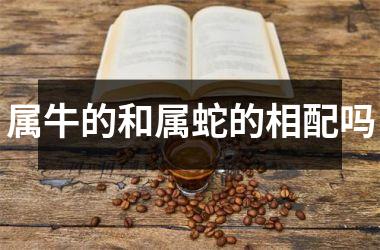 属牛的和属蛇的相配吗