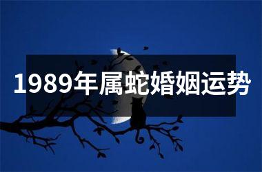 1989年属蛇婚姻运势