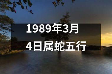 <h3>1989年3月4日属蛇五行