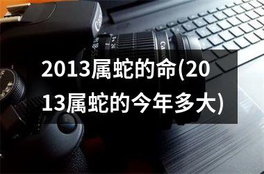 2013属蛇的命(2013属蛇的今年多大)