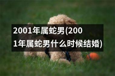 <h3>2001年属蛇男(2001年属蛇男什么时候结婚)