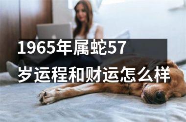 1965年属蛇57岁运程和财运怎么样