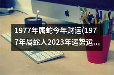 1977年属蛇今年财运(1977年属蛇人2023年运势运程每月运程)