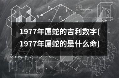 1977年属蛇的吉利数字(1977年属蛇的是什么命)