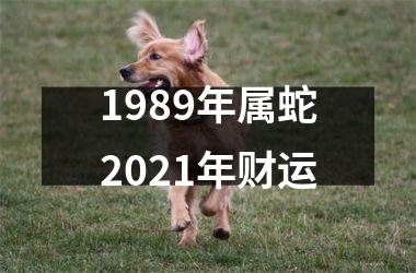 1989年属蛇2025年财运