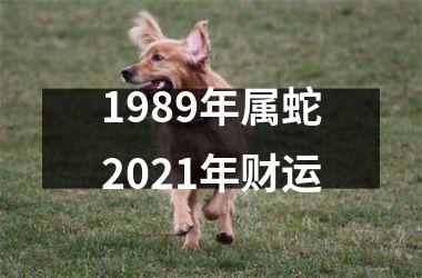 1989年属蛇2021年财运