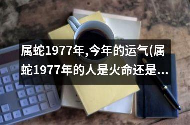 属蛇1977年,今年的运气(属蛇1977年的人是火命还是沙土命)