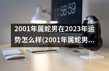 2001年属蛇男在2023年运势怎么样(2001年属蛇男在2023年学业)