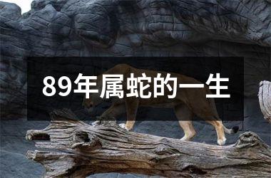 <h3>89年属蛇的一生