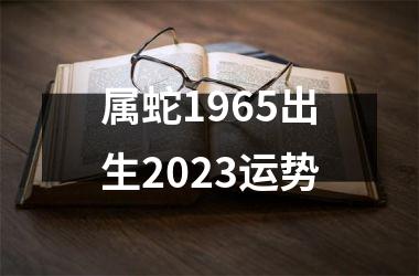 属蛇1965出生2025运势