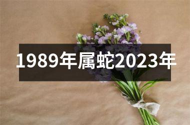 1989年属蛇2023年