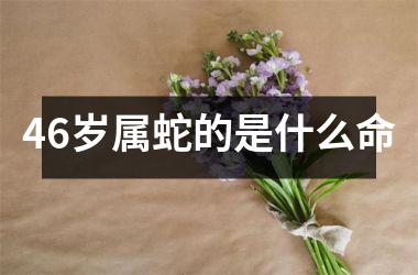 46岁属蛇的是什么命