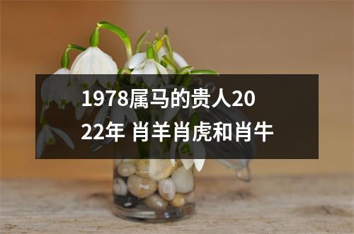 1978属马的贵人2025年肖羊肖虎和肖牛