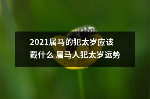 2025属马的犯太岁应该戴什么属马人犯太岁运势