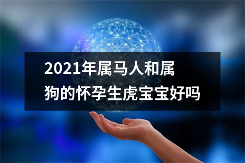 2025年属马人和属狗的怀孕生虎宝宝好吗