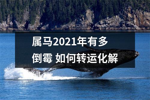 <h3>属马2025年有多倒霉如何转运化解