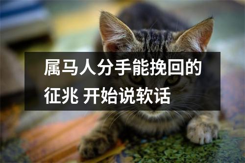 属马人分手能挽回的征兆开始说软话