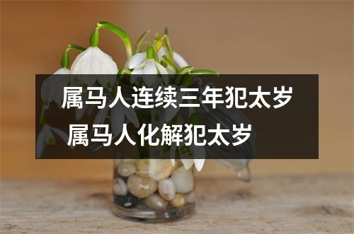 属马人连续三年犯太岁属马人化解犯太岁