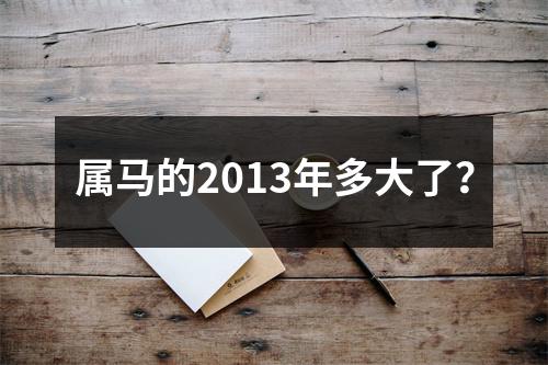 属马的2013年多大了？