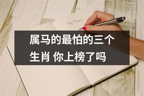 属马的怕的三个生肖你上榜了吗