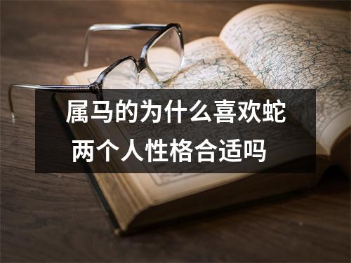 属马的为什么喜欢蛇两个人性格合适吗