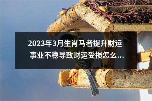 2025年3月生肖马者提升财运事业不稳导致财运受损怎么办