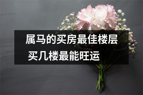 属马的买房佳楼层买几楼能旺运