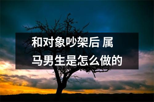 和对象吵架后属马男生是怎么做的