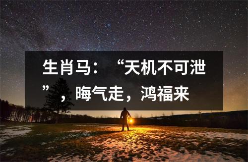 生肖马：“天机不可泄”，晦气走，鸿福来