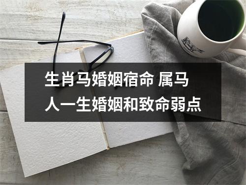 生肖马婚姻宿命属马人一生婚姻和致命弱点