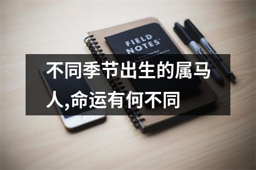 不同季节出生的属马人,命运有何不同