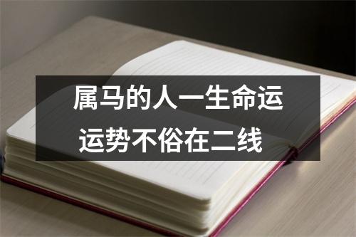 属马的人一生命运运势不俗在二线