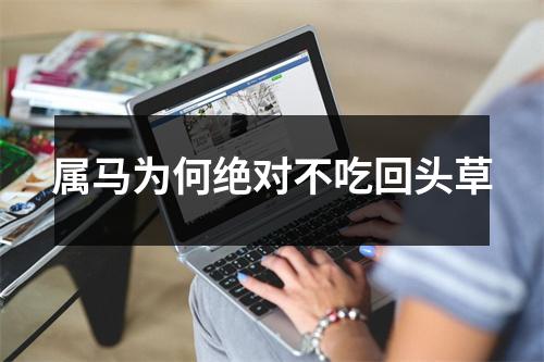 属马为何绝对不吃回头草