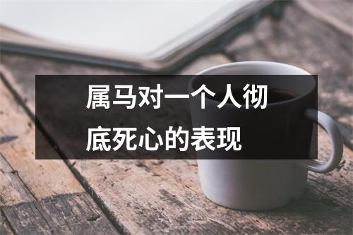 属马对一个人彻底死心的表现