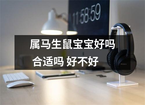 属马生鼠宝宝好吗合适吗好不好