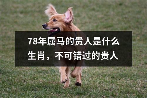 78年属马的贵人是什么生肖，不可错过的贵人