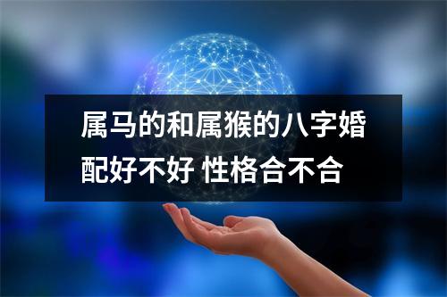 属马的和属猴的八字婚配好不好性格合不合