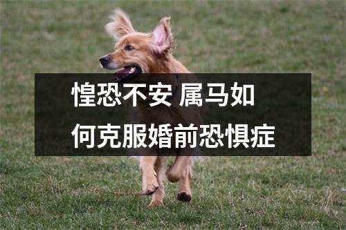 惶恐不安属马如何克服婚前恐惧症