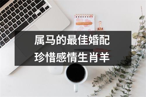 属马的佳婚配珍惜感情生肖羊