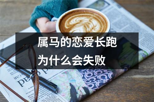 属马的恋爱长跑为什么会失败