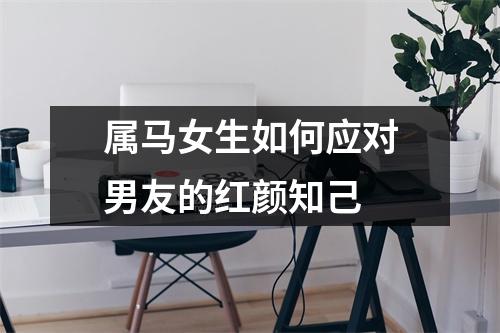 属马女生如何应对男友的红颜知己