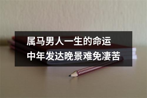 属马男人一生的命运中年发达晚景难免凄苦