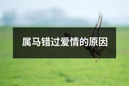 属马错过爱情的原因