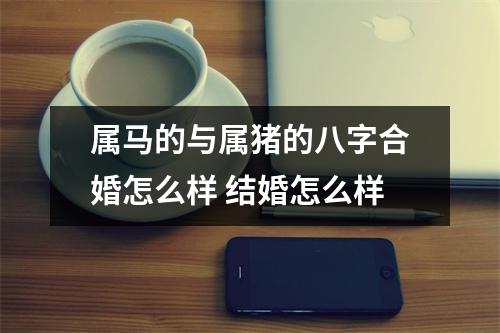 属马的与属猪的八字合婚怎么样结婚怎么样