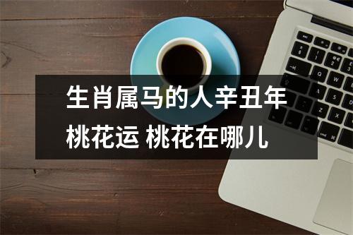 生肖属马的人辛丑年桃花运桃花在哪儿