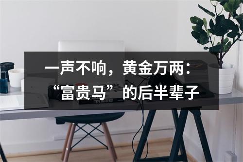 <h3>一声不响，黄金万两：“富贵马”的后半辈子