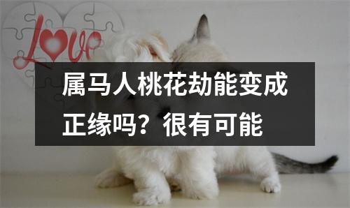 属马人桃花劫能变成正缘吗？很有可能