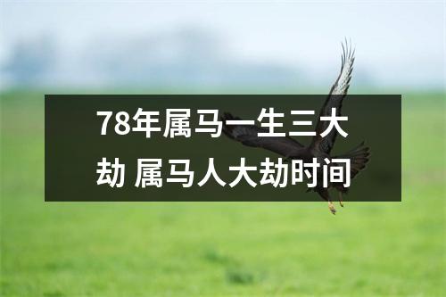 <h3>78年属马一生三大劫属马人大劫时间